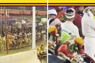 Mangaluru Hosts Seventh Edition Of Kambala Festival As 150 Teams Take Part