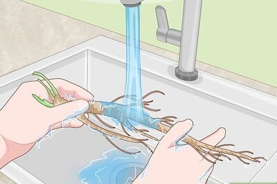 How to Extract Salt from Plants