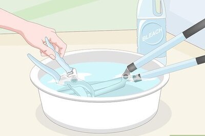 How to Prune Nectarine Trees