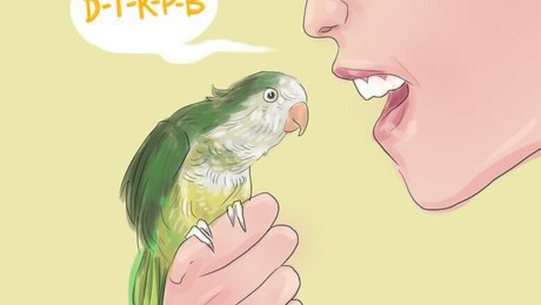 How to Teach Parakeets to Talk
