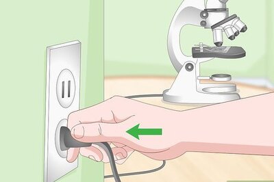 How to Use a Light Microscope