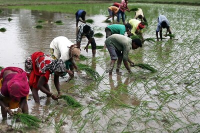 Govt Analysts Say Signs of Recovery in Rural Economy Hailed by PM Modi 'At Best a Mitigating Factor'
