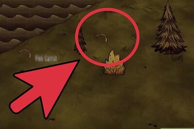 How to Survive in Don't Starve