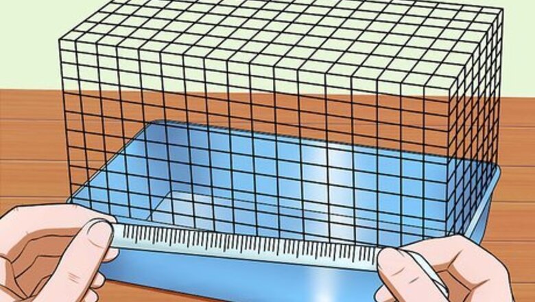 How to Take Care of a Female Guinea Pig With Babies
