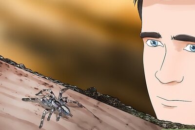 How to Help a Child Overcome a Fear of Bugs