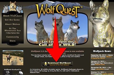 How to Play Wolf Quest