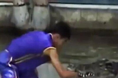 Watch: Stunt Goes Wrong, Crocodile Snaps Man’s Arm Into Two