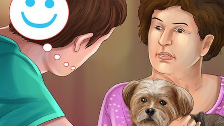 How to Be Good With Small Dogs