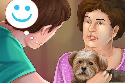 How to Be Good With Small Dogs