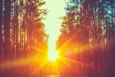 Aaj Ka Panchang, January 21, 2024: Tithi, Vrat, and Today’s Shubh, Ashubh Muhurat