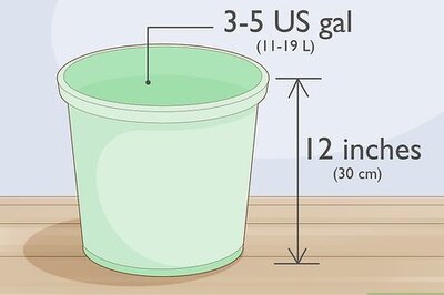 How to Grow Okra in Pots