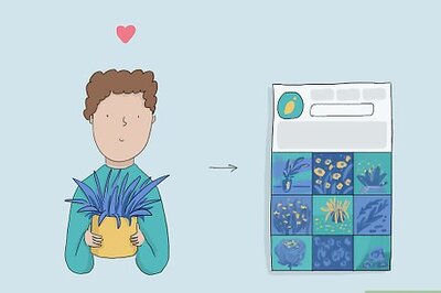 How to Become an Instagram Influencer