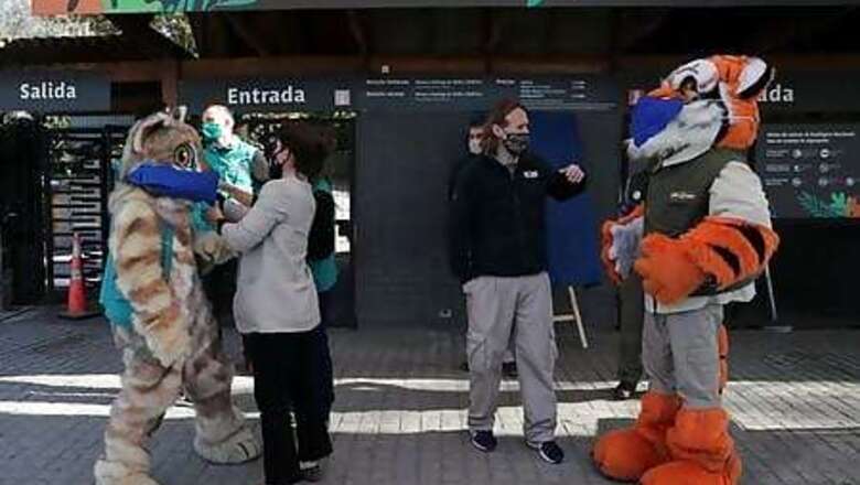 Wanted: Animal Godparents For Chilean Zoo In "Bleak" Year