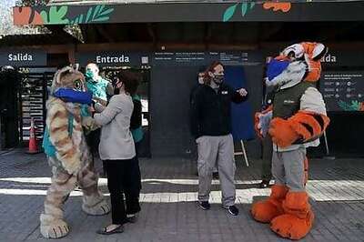 Wanted: Animal Godparents For Chilean Zoo In 