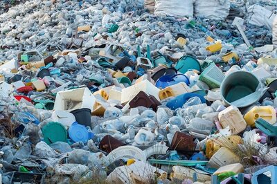 Green Revolution 2.0: Saying No to Plastic is Fantastic, Finding Options Isn't, Say Industries Ahead of Single-Use Ban