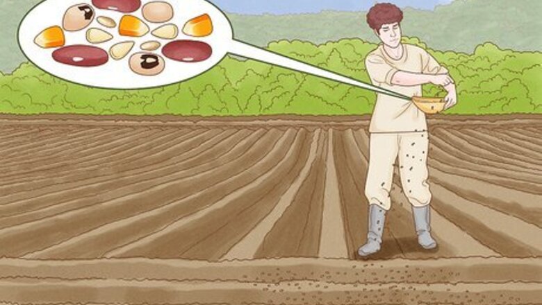 How to Plant and Maintain a Chaos Garden