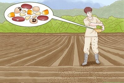 How to Plant and Maintain a Chaos Garden