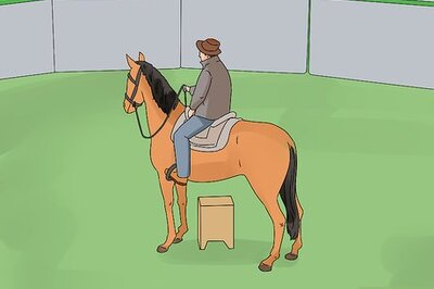 How to Ride a Horse at Walk, Trot, and Canter