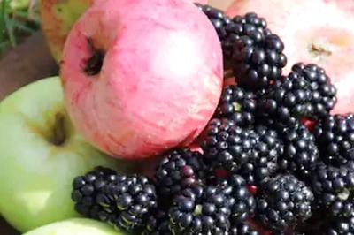 Peaches To Watermelon, 5 Fruits That Can Cause Bloating