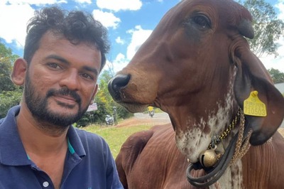 Bengaluru Techie Walks 36 Days With Pet Bull to Hand Him Over to Lord Manjunatha