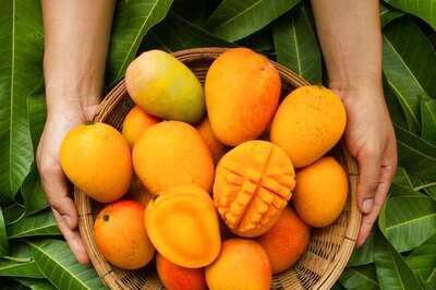 International Mango Festival 2023: History, Significance, and How to Celebrate