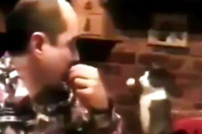 Watch: Cat Uses Sign Language To Talk To Deaf Pet Parent