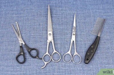 How to Cut Dog Hair with Scissors