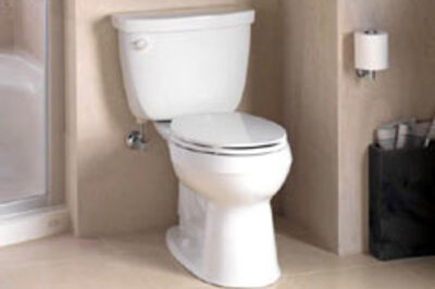 This loo fulfils your wildest dreams