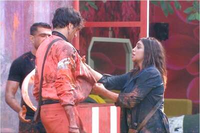 Bigg Boss 14 Day 65 Written Update: Rahul Says Jasmin Should Marry Aly; Vikas, Arshi Clash Fiercely