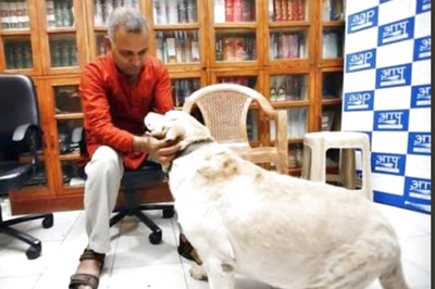 Somnath Bharti’s Labrador Don, Once Accused in Domestic Violence Case, Dies