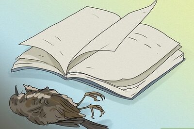 What Does It Mean When You See a Dead Bird?