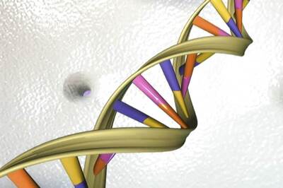 Scientists Edit Faulty DNA in Embryos, May Help Prevent Inherited Diseases