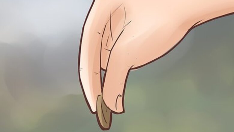 How to Be Rich on Stardoll