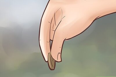 How to Be Rich on Stardoll