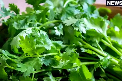 Amazing Benefits of Green Coriander You Never Knew