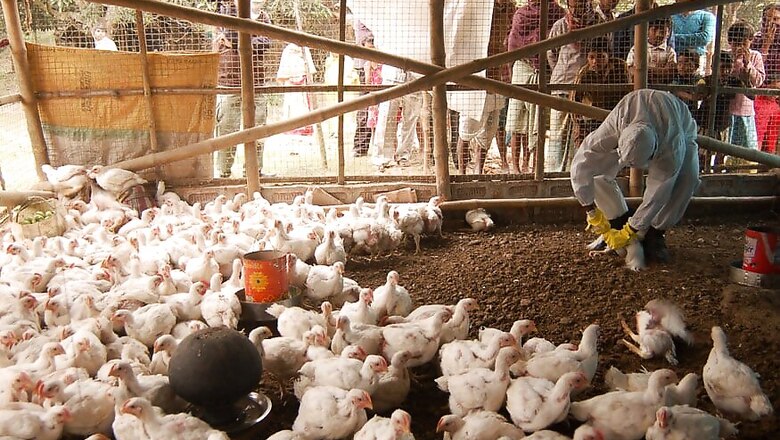 Bird Flu Scare: Three Fresh Avian Deaths, Another DDA Park Shut in Delhi