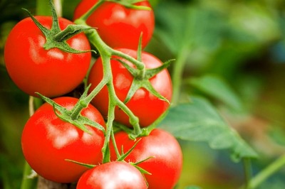 Tomato Prices: Here are the Best Alternatives to Tomato You Can Use for Your Dishes
