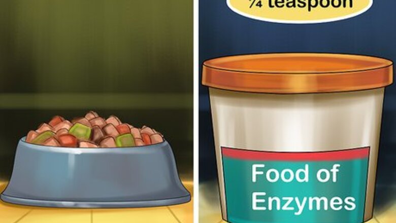 How to Give Supplemental Enzymes to a Cat