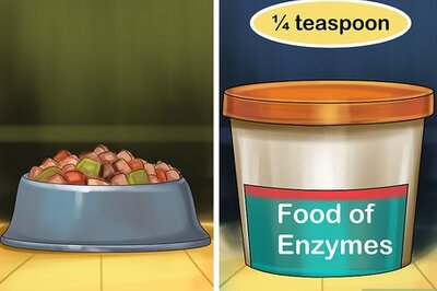 How to Give Supplemental Enzymes to a Cat
