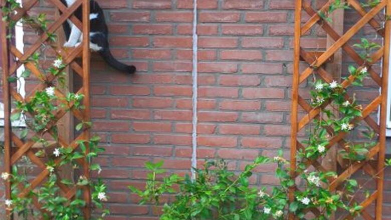 How to Make a Pergola with a Hidden Cat Ladder