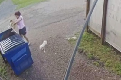 Woman Throws Puppies in Dustbins, Booked After Disturbing Video Goes Viral