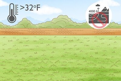 How to Grow Jackfruit