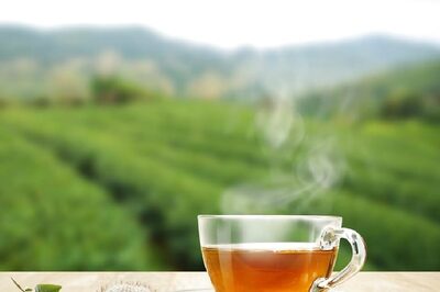 Govt Hikes Funds for Tea Development, Promotion by 82% to Rs 528.97 Crore for 2024-26