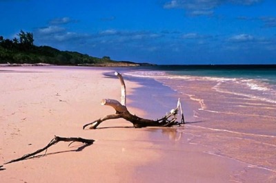 This 2-mile Wide Island In Bahamas Has Pink Sands