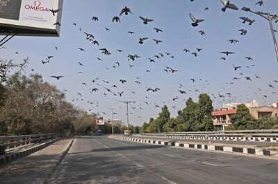 Unintended Lockdown Benefit: Study Says PM 2.5 Down by Over 50% in Delhi, Gurugram, Noida & Ghaziabad