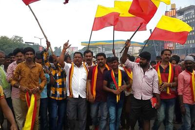 Cauvery Water Protests: Plea in SC to Maintain Law & Order in Tamil Nadu, Karnataka