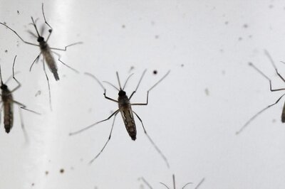 Nearly 100 Dengue Cases in Delhi This Year, 45 Reported in August Alone