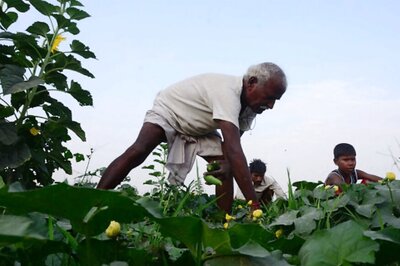 'Niti Aayog Hasn't Recommended Any Plan to Tax Farm Incomes'