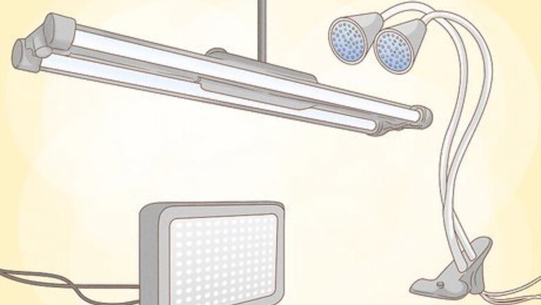 How to Grow Vegetables With Grow Lights