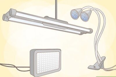 How to Grow Vegetables With Grow Lights